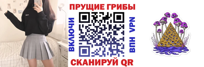 Галлюциногенные грибы Psilocybe  даркнет клад  Карабаново 